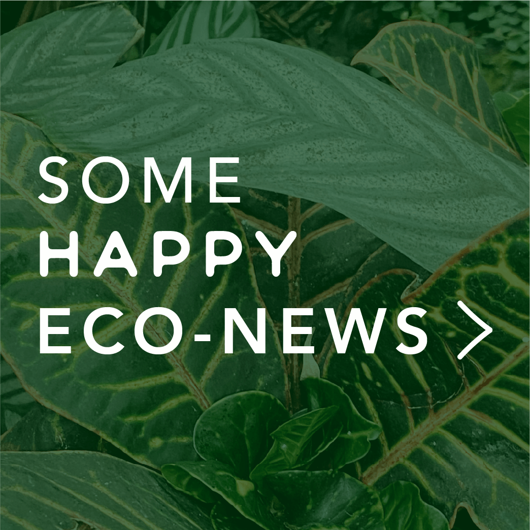 3 Positive Eco-News Stories You Need to Hear