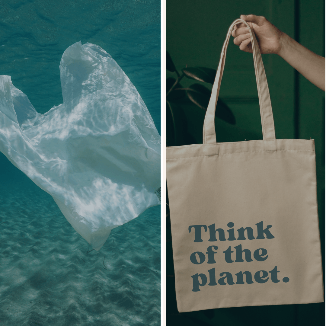 Effortless Ways To Swap Out Plastic and Help The Planet