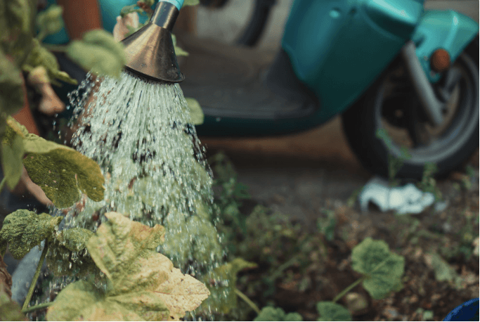 10 Surprising Benefits of Using Filtered Water Beyond Drinking!