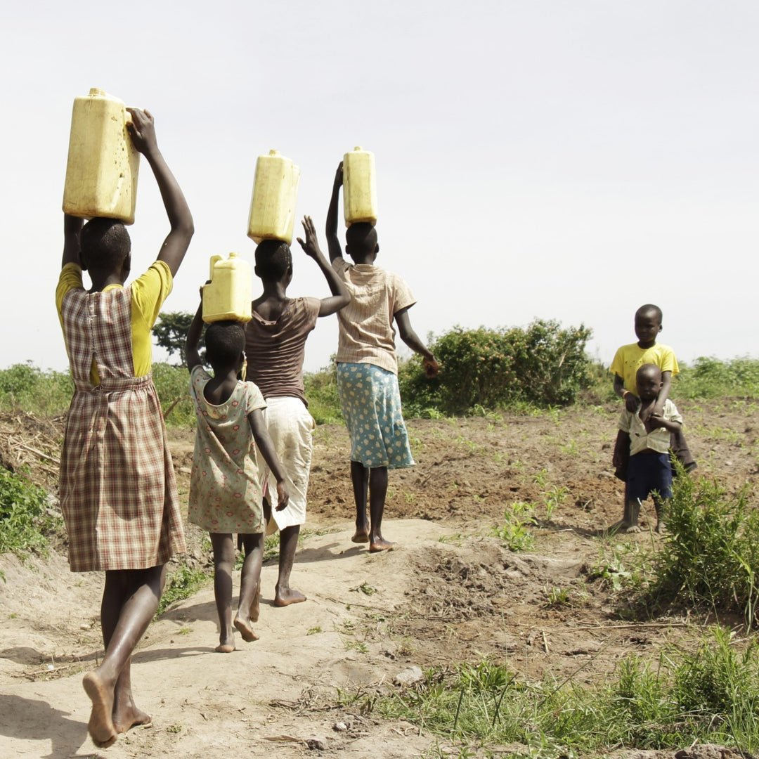 World Water Day - Alkaline Water Filter