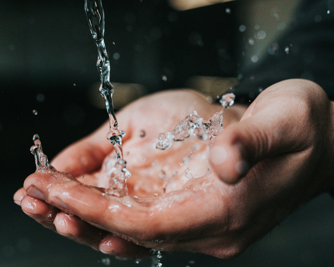 Water-Saving Ideas for Renters and Flats (No Garden Required)